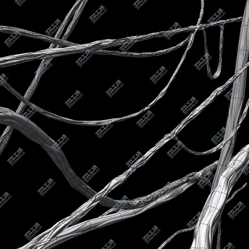 images/goods_img/202105072/Jungle Vines 3d model/3.jpg